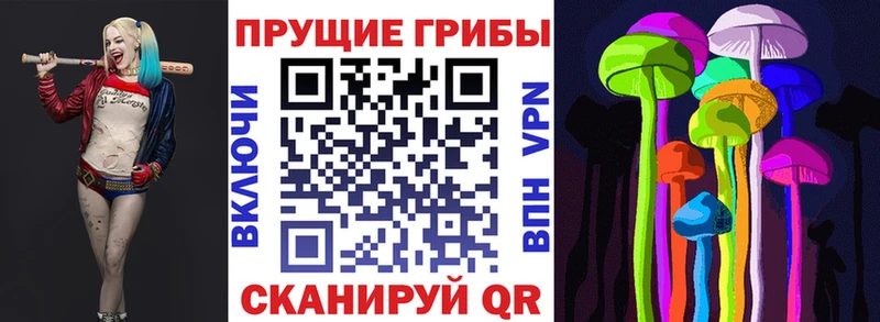 Псилоцибиновые грибы Magic Shrooms  Купить закладки  Томари 